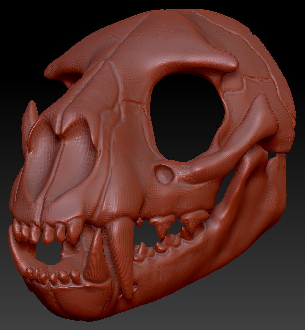 Large Feline Skull