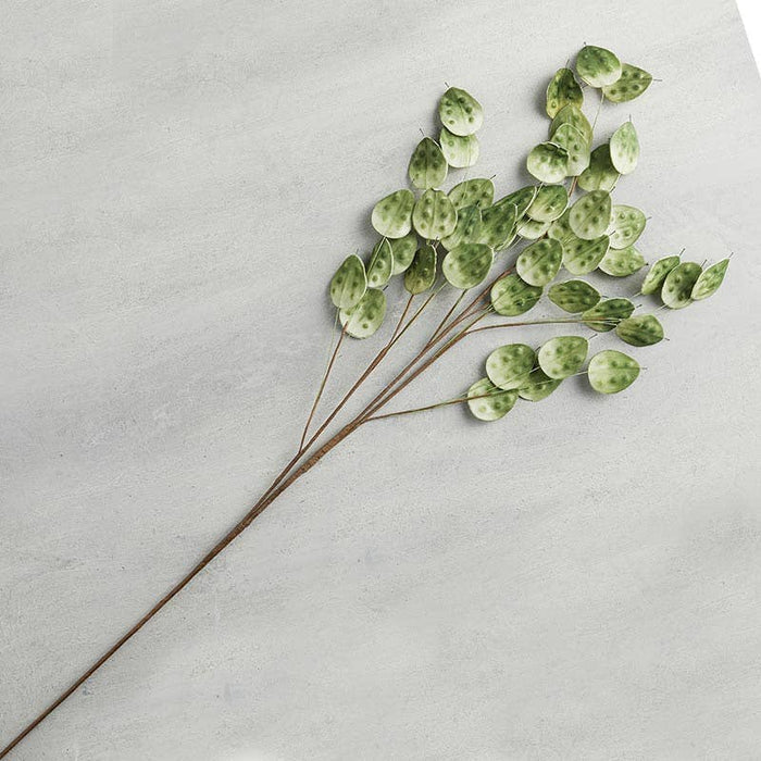Large Green Stem
