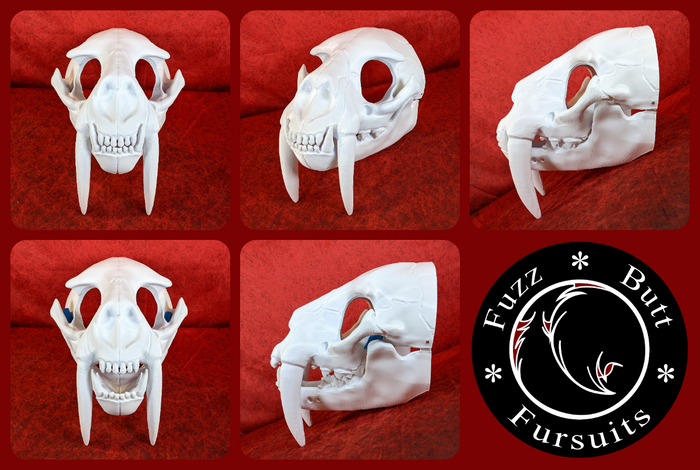 Large Saber Feline Skull