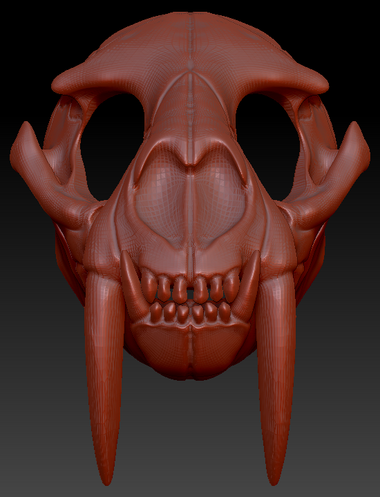 Large Saber Feline Skull