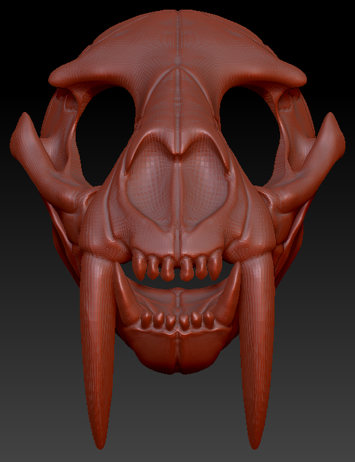 Large Saber Feline Skull