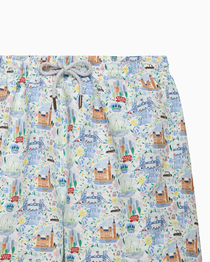 Hampton Swim Swimshorts Men's Swimshorts in London Scenes