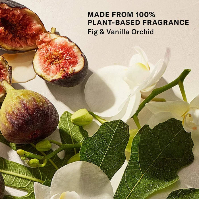 Mini Bohemian Fig - Argan Oil + Sugar Balm Refillable Exfoliating Body Scrub