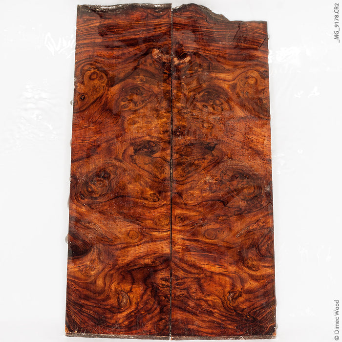 Natural wood honduran rosewood burl panels