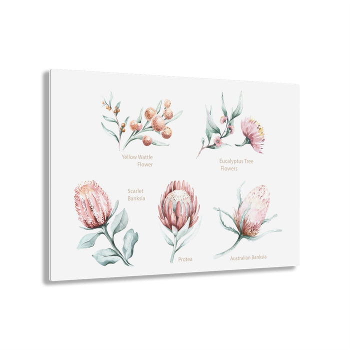 Proteas by Kris
