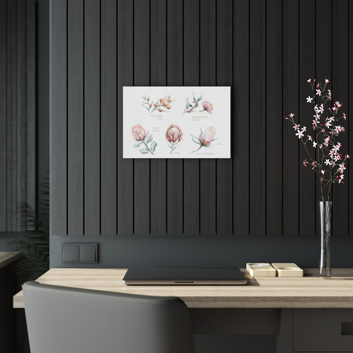 Proteas by Kris