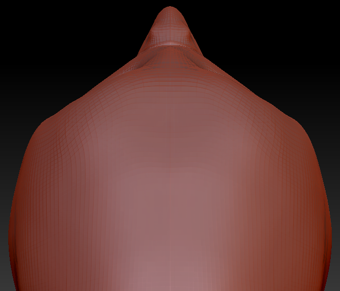 Realistic Barn Owl Head Base