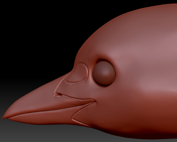 Realistic Blue Jay Head Base