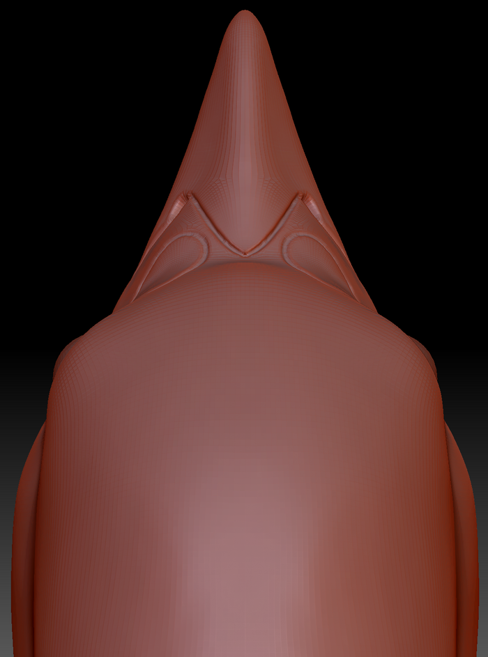 Realistic Blue Jay Head Base