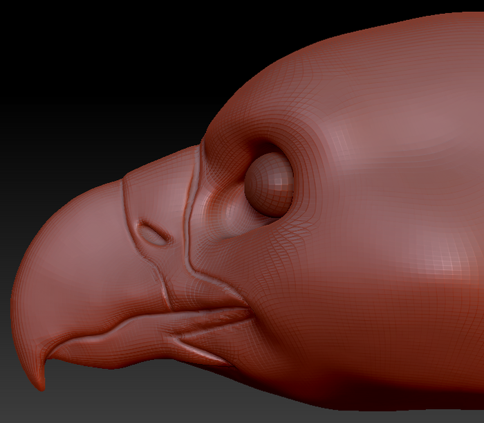 Realistic Harpy Gryphon/Eagle Head Base