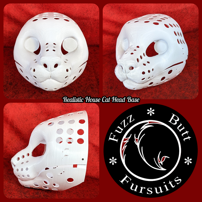 Realistic House Cat Head Base