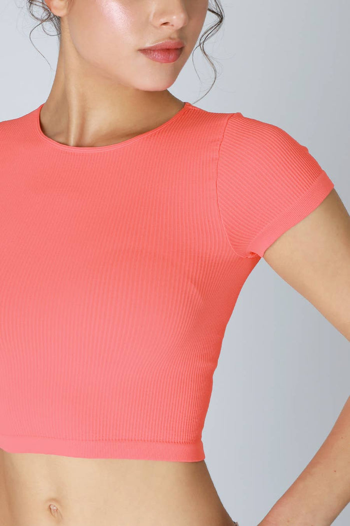 Ribbed Baby Tee ~ Tan