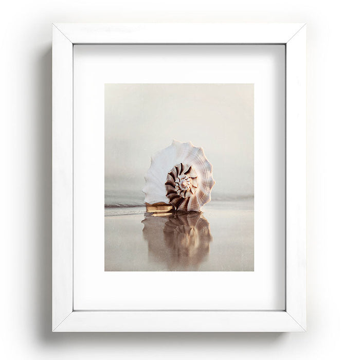 Seashell Recessed Framing Rectangle