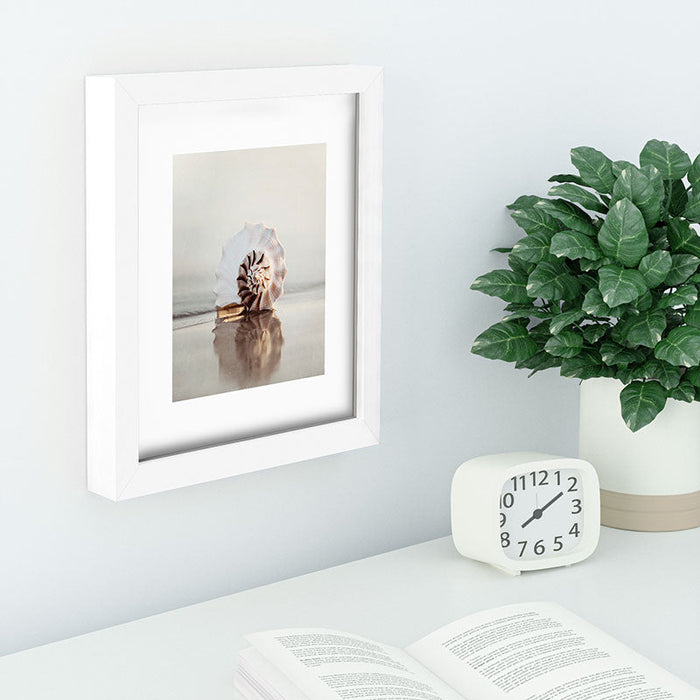 Seashell Recessed Framing Rectangle
