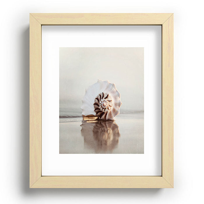 Seashell Recessed Framing Rectangle