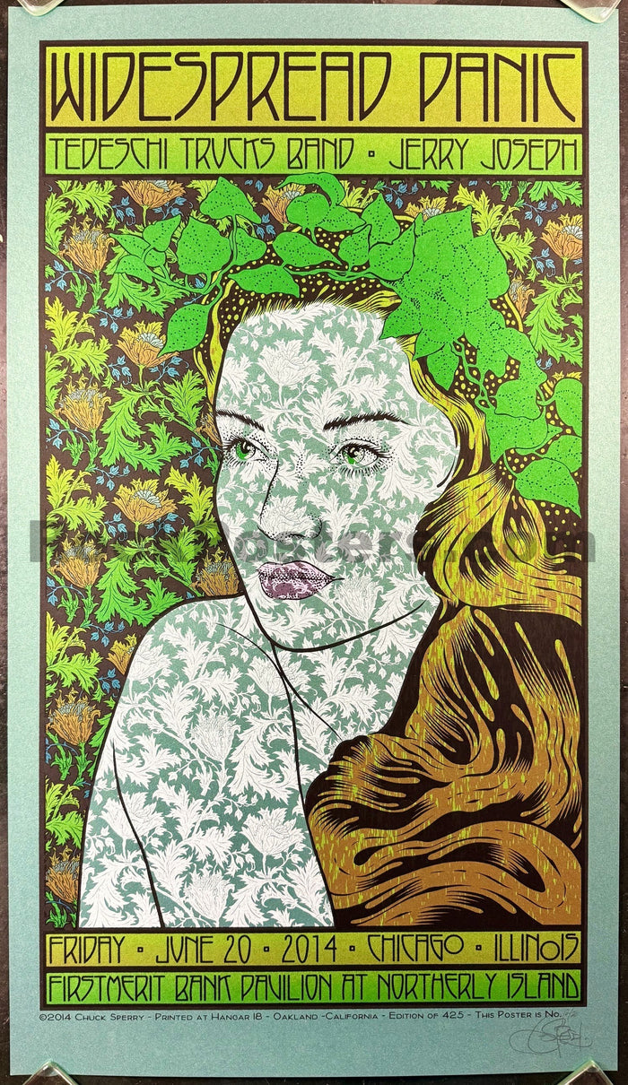 AUCTION - Widespread Panic - Chicago '14 - Chuck Sperry - Dark Green Metallic - Mint-5226382-3906176