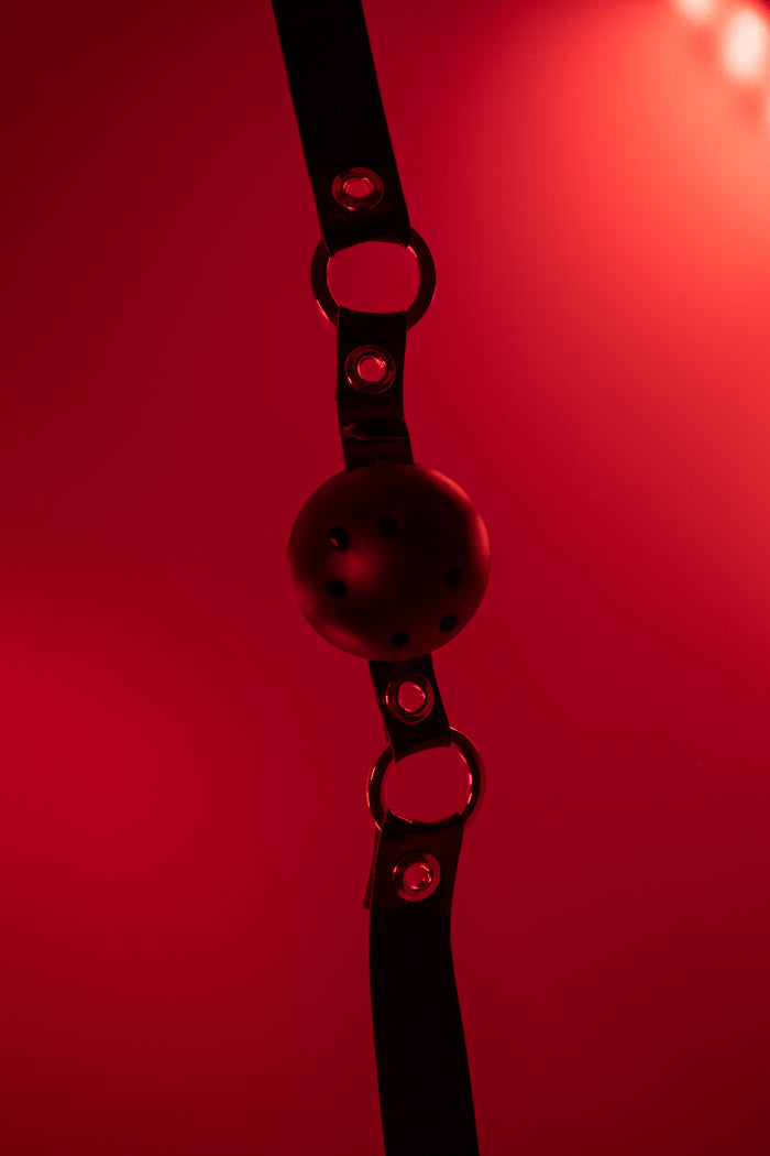 SlaveMe Black Ball by Secret Room