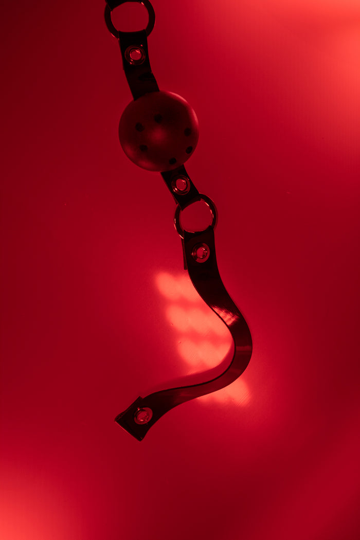 SlaveMe Black Ball by Secret Room