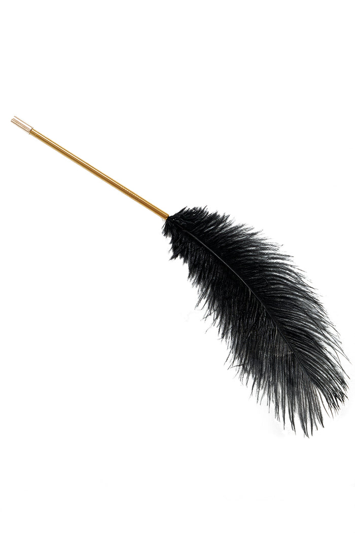 SlaveMe Black feather by Secret Room