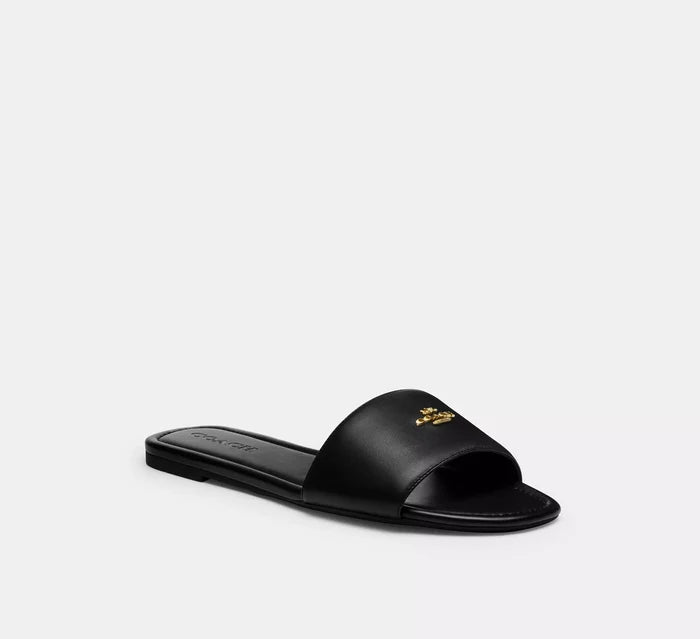 #color_CA Black