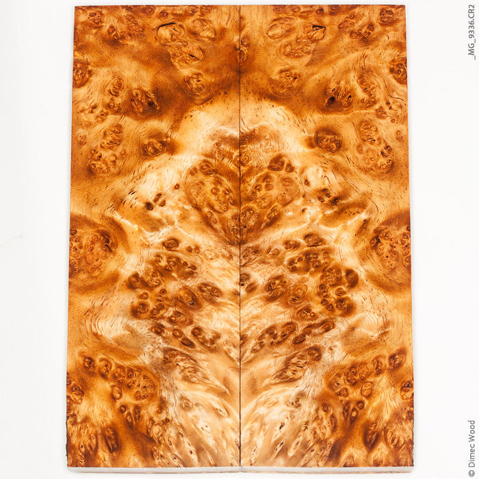 Stabilized golden amboyna burl wood panels