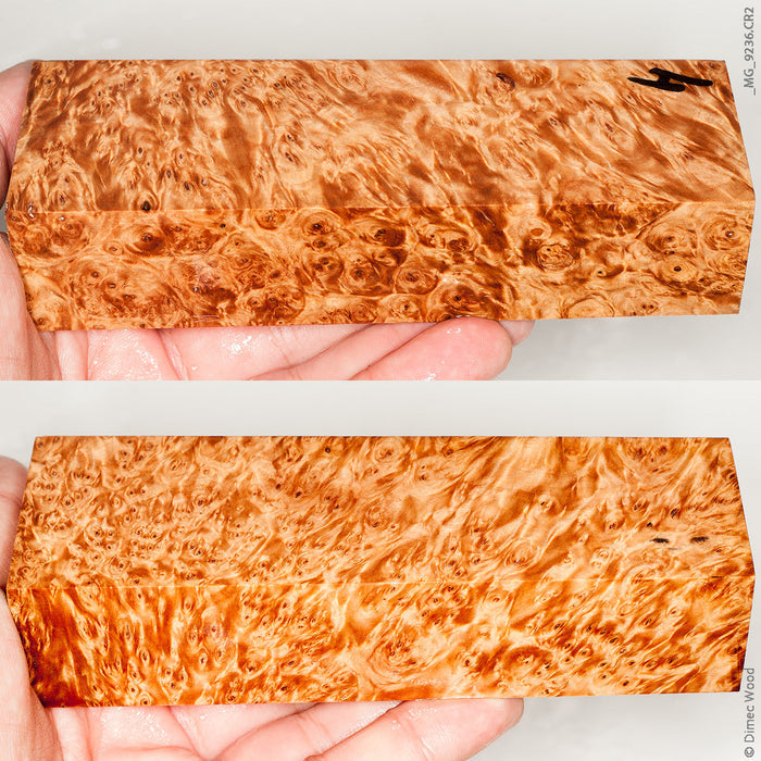 Stabilized wood birch burl block