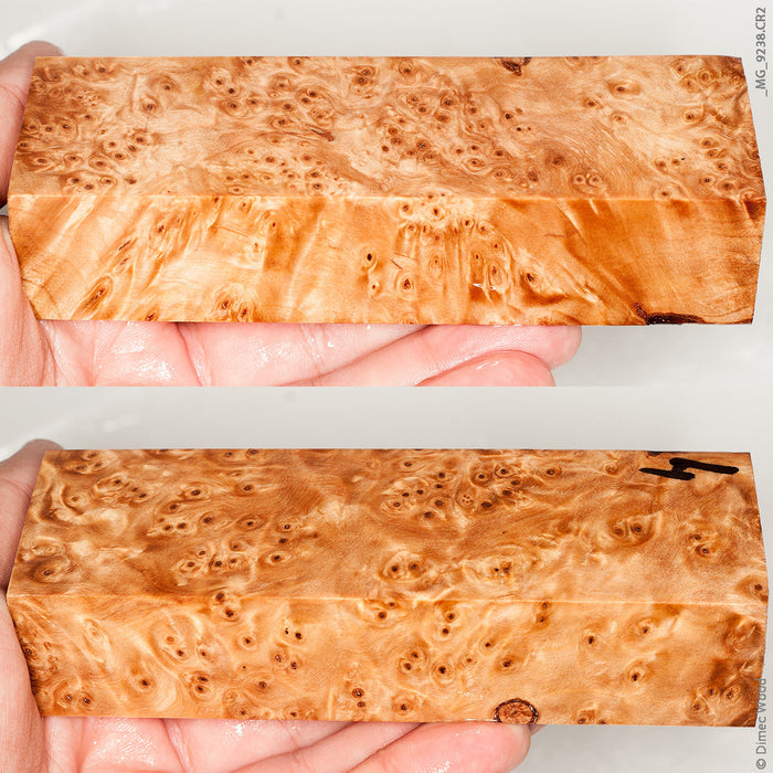Stabilized wood birch burl block
