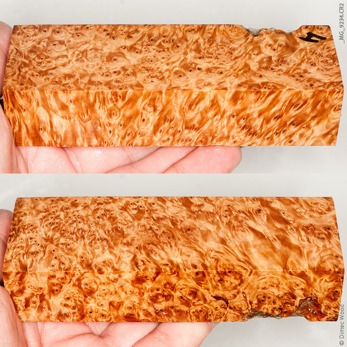 Stabilized wood birch burl block