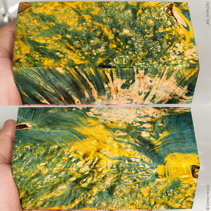 Stabilized wood box elder burl block