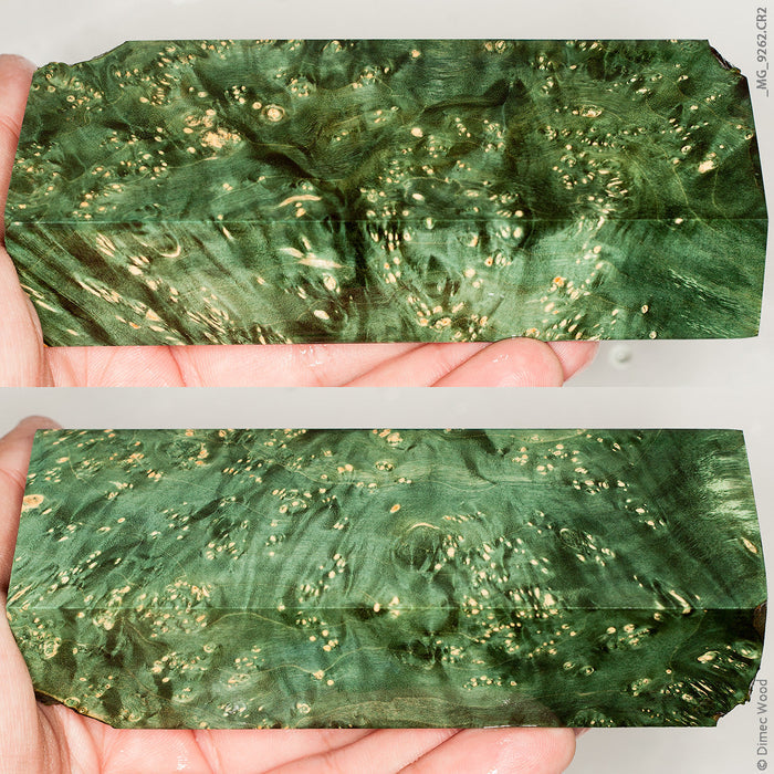Stabilized wood box elder burl block