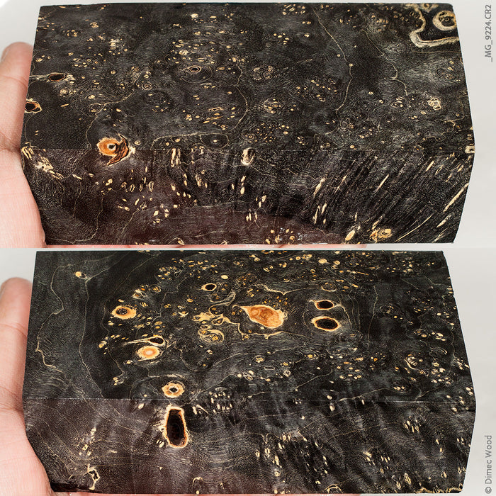 Stabilized wood box elder burl block