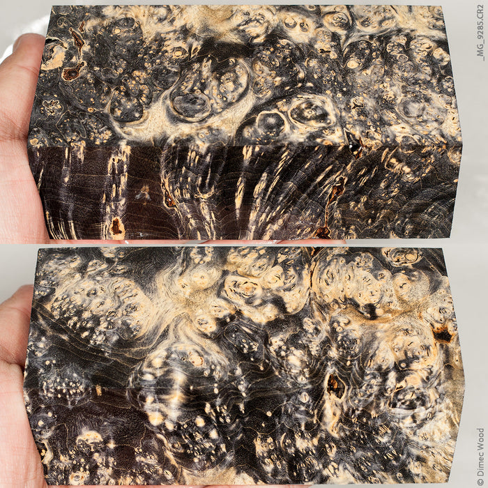 Stabilized wood box elder burl block