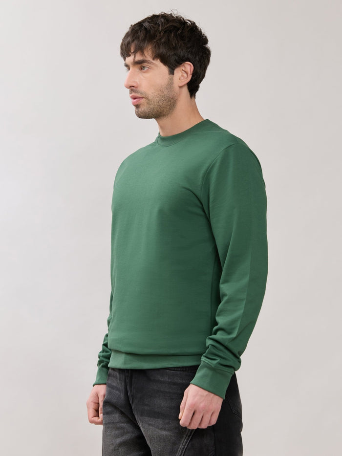 Stanwick - Slim Fit Green Crew Neck Sweater