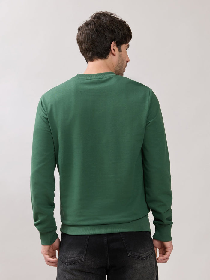 Stanwick - Slim Fit Green Crew Neck Sweater