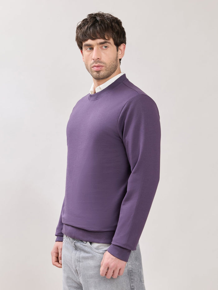Stanwick - Slim Fit Purple Crew Neck Sweater