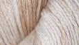 10973'Cream'