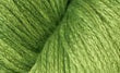 10977-'Pistachio'