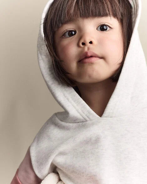Toddler Girl Colorblock Long-Sleeve Hooded Sweatshirt Dress - Light Heather Grey
