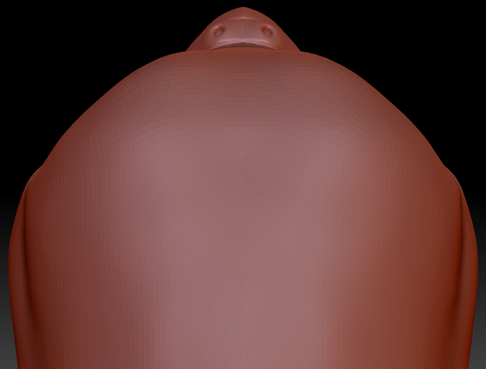 True Kemono Budgie Head Base