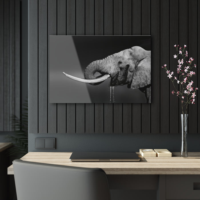 Tusks by Swanepoel
