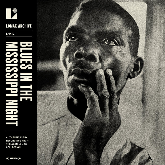 Various Artists Blues In The Mississippi Night